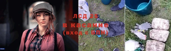 шишки Алексеевка